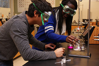 Students performing the lab or submitting lab results online.